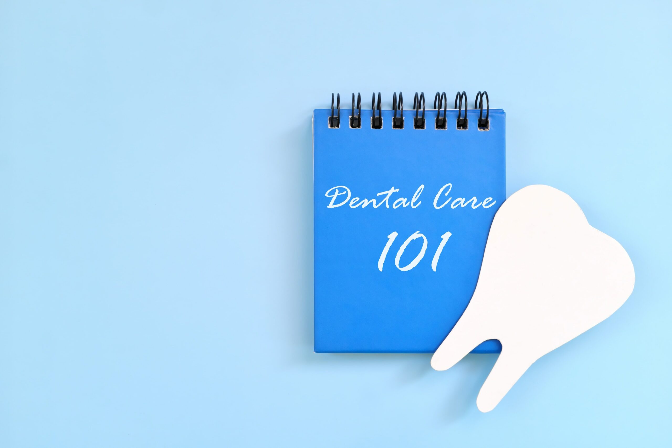 Your Essential Guide to Dental Cleanings